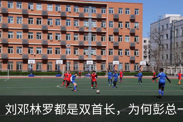 刘邓林罗都是双首长，为何彭总一直是司令兼政委？毛主席的用人算术
